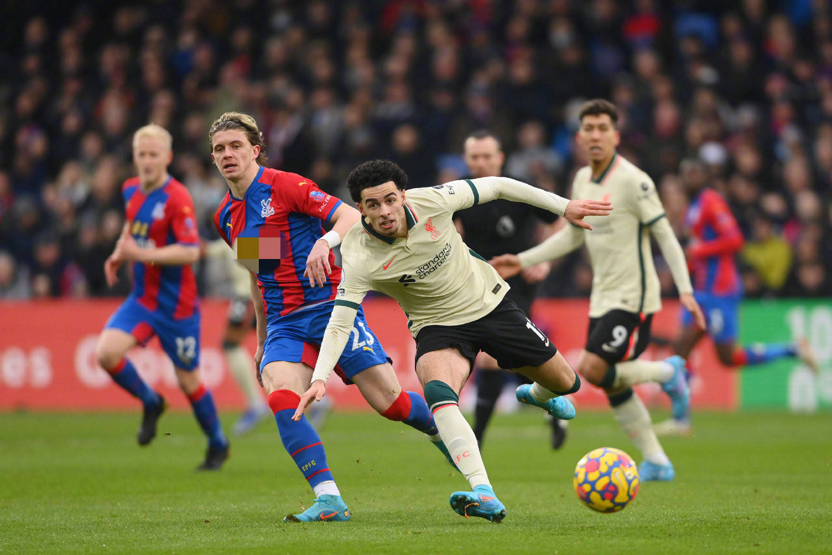 这种理解也 这种理解也