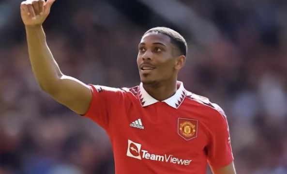 部已经展开 部已经展开